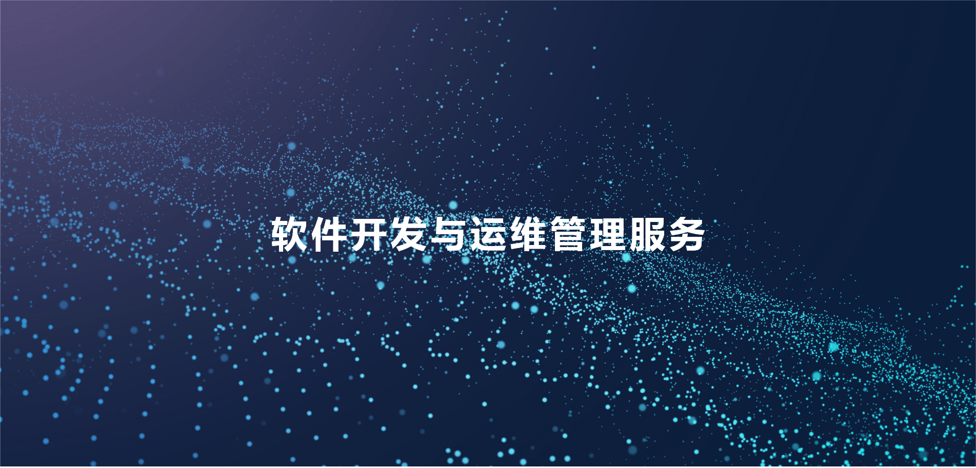 软件开发与运维管理服务